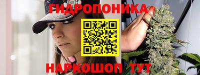 прущий лед Гатчина