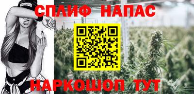 прущий лед Гатчина